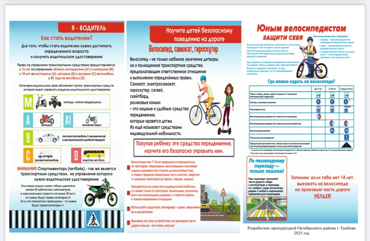 pamiatka peshehod velosiped 2